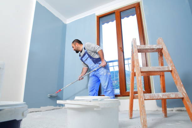 Mold Documentation for Insurance Claims in Mokuleia, HI