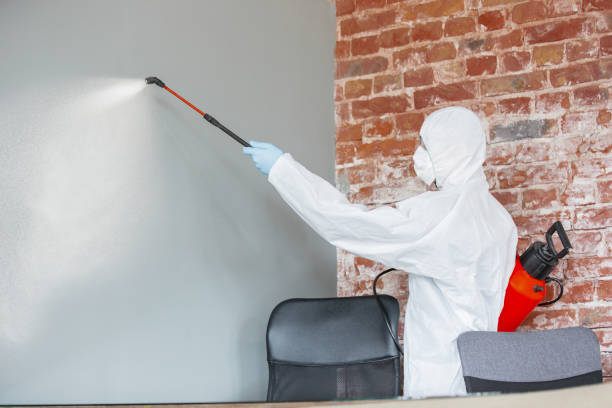 Best Emergency Mold Remediation  in Mokuleia, HI